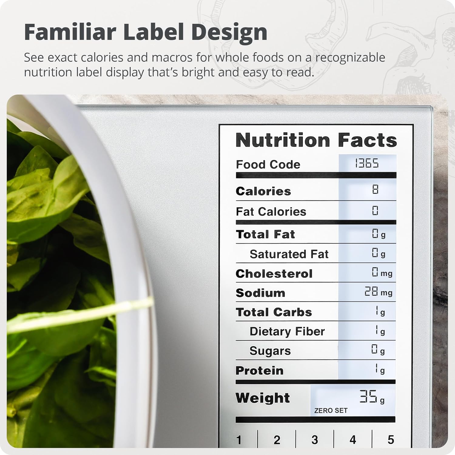 Kitchen Scale Stainless Steel  - Meal Prep Weight Loss ulasan dan harga