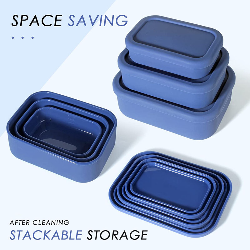 Leak-Resistant Bento Lunch Box - Meal Prep Lunch Boxes ulasan dan harga