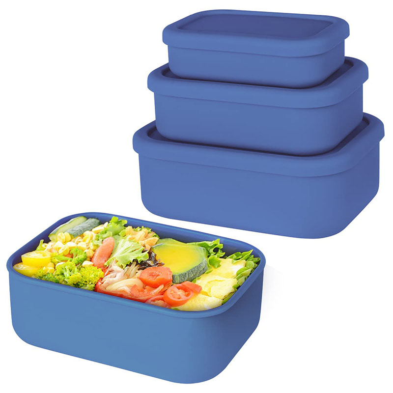 Leak-Resistant Bento Lunch Box - Meal Prep Lunch Boxes ulasan dan harga