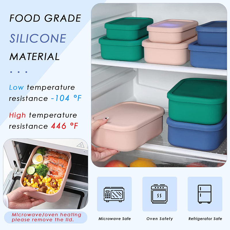 Leak-Resistant Bento Lunch Box - Meal Prep Lunch Boxes ulasan dan harga